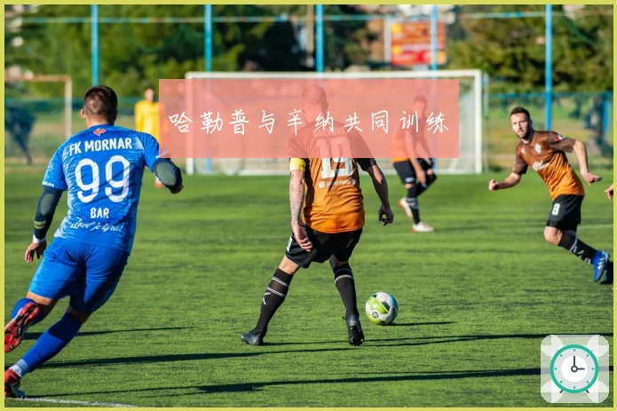 哈勒普与辛纳共同训练