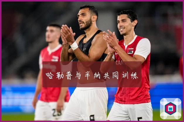 哈勒普与辛纳共同训练